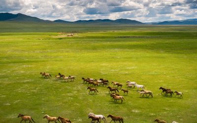 Min-On Music Journey No. 63: Mongolia