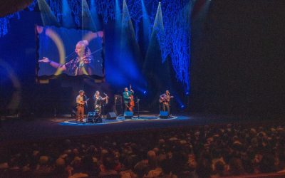 Les Curly Strings achèvent une deuxième tournée au Japon, pleine d’émotion et couronnée de succès